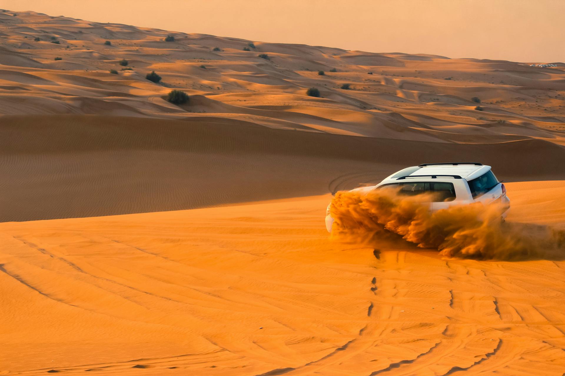Dubai Çöl Safarisi Dubai Çöl Safarisi